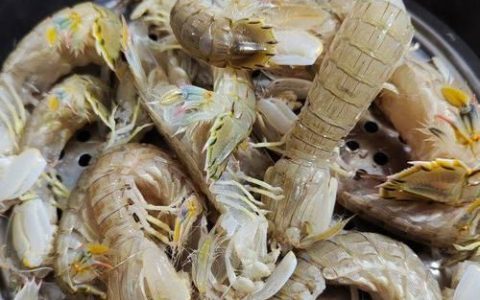 皮皮虾蒸多久才熟
，皮皮虾蒸多少时间能熟麻辣小龙虾？